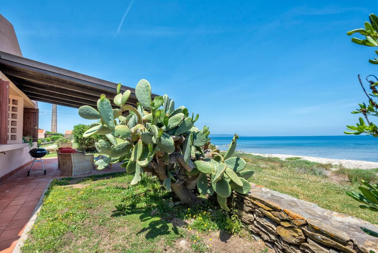 Sardinia Re - Villino Maja Stintino Exterior foto